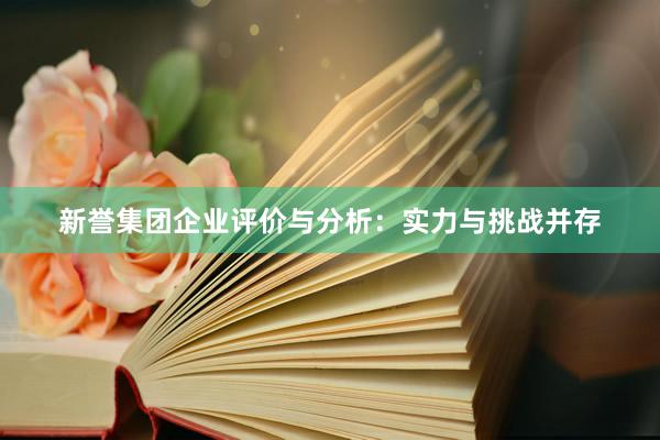 新誉集团企业评价与分析：实力与挑战并存