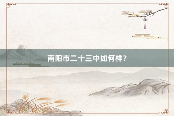 南阳市二十三中如何样？